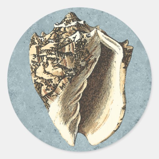 石洗浄コンチシェル ラウンドシール (正面)