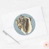 石洗浄コンチシェル ラウンドシール (封筒)