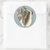 石洗浄コンチシェル ラウンドシール (バッグ)