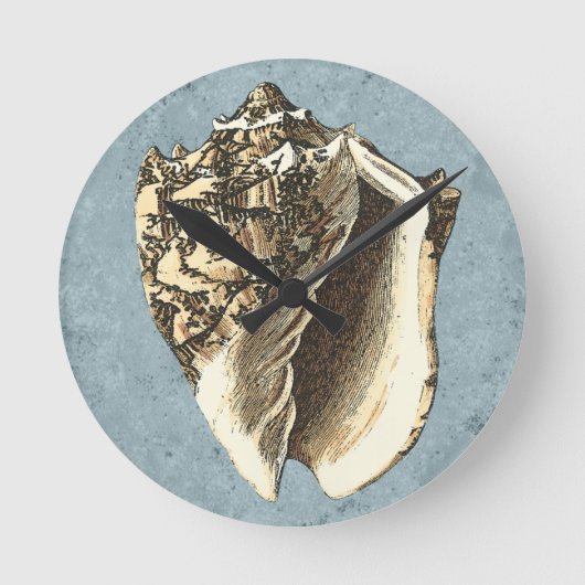 石洗浄コンチシェル ラウンド壁時計 (正面)