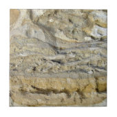 石灰岩の防波堤の根の化石 タイル (正面)