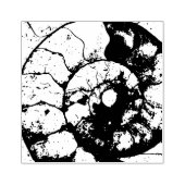 石灰岩アンモニア化石 ラバースタンプ (インプリント)