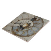 石灰岩アンモニア大石 タイル (側面)