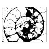 石灰岩アンモニア ラバースタンプ (インプリント)