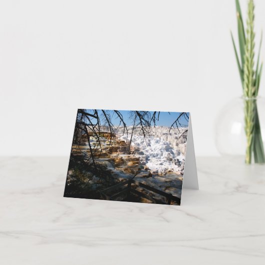 石灰岩テラスマンモスホット春イエローストーン ノートカード (正面)