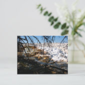 石灰岩テラスマンモスホット春イエローストーン ポストカード (スタンド正面)