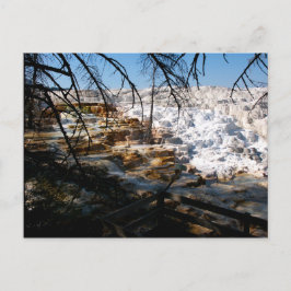 石灰岩テラスマンモスホット春イエローストーン ポストカード