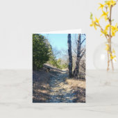 石灰岩トレイル カード (黄色い花)