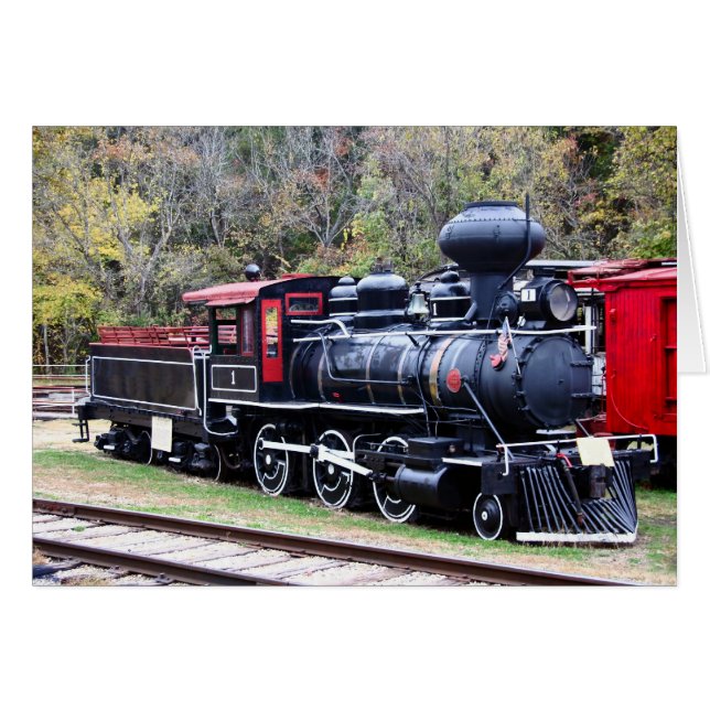 石炭エンジン列車 (正面横)