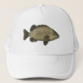 石炭グランター キャップ (正面)