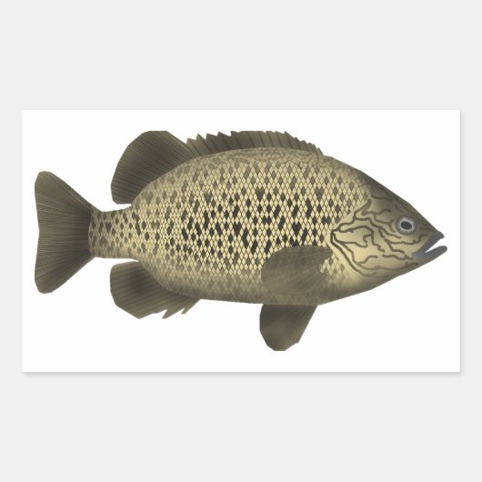 石炭グランター 長方形シール (正面)