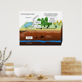 石炭火力発電所からの二酸化炭素隔離 ポスター (キッチン)