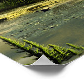 石炭紀の森 ポスター (角)