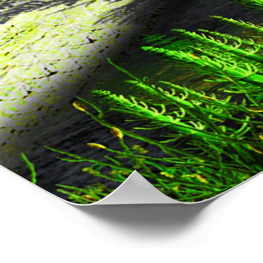 石炭紀シダ ポスター (角)