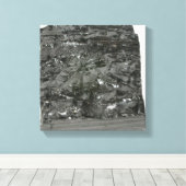 石炭 キャンバスプリント (インサイチュ (ウッドフロア))