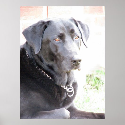 石炭 ポスター (正面)