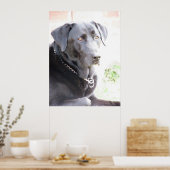 石炭 ポスター (キッチン)