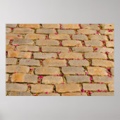 石畳歩く詳細 ポスター (正面)