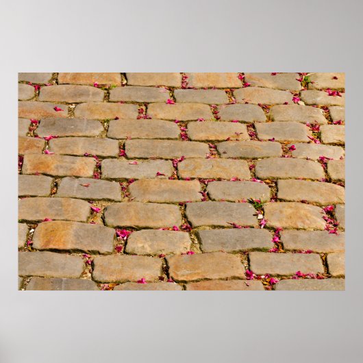 石畳歩く詳細 ポスター (正面)