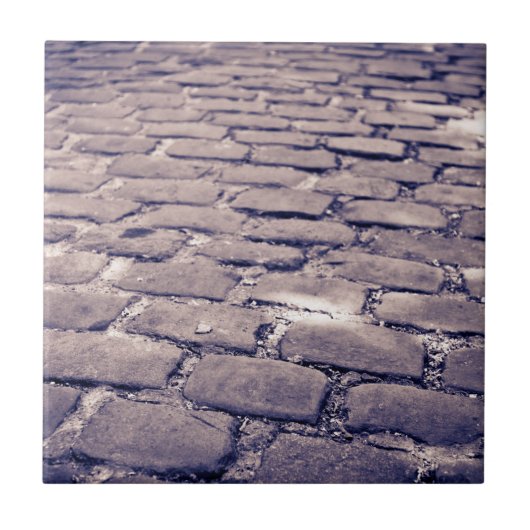 石畳通りの閉鎖 タイル (正面)