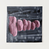 石積み タペストリー (正面(横))