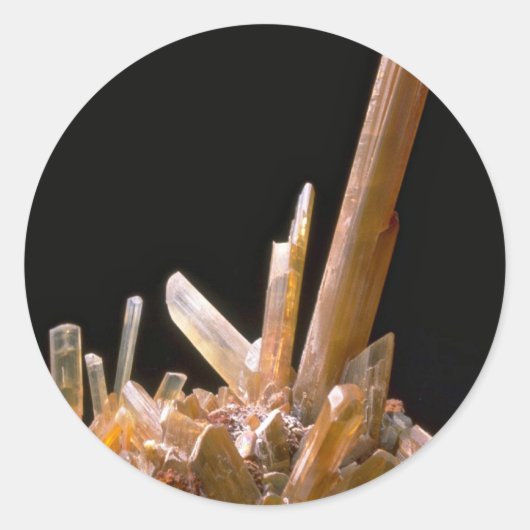 石膏 ラウンドシール (正面)