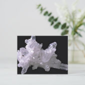 石英 ポストカード (スタンド正面)