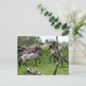 石製はがき ポストカード (スタンド正面)