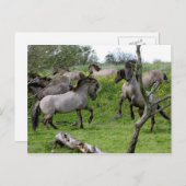 石製はがき ポストカード (正面/裏面)