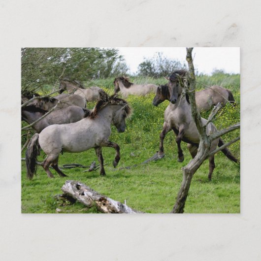 石製はがき ポストカード (正面)