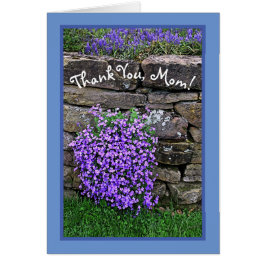 石誇りを持ったWの上に重ねて咲く母/紫の花の