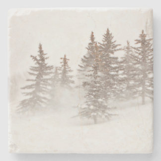 石造りのコースター-インスパイア山の家 ストーンコースター