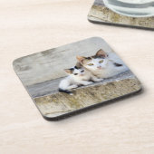 石造りのステップの2匹の猫 コースター (左側)