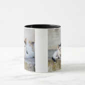 石造りのステップの2匹の猫 マグカップ (中央)