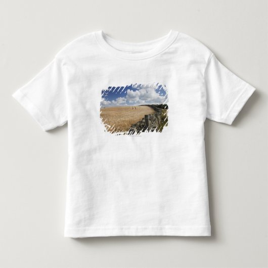 石造りの塀に沿って造られる有刺鉄線の塀 トドラーTシャツ (正面)