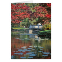 石造り橋カード