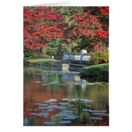 石造り橋カード