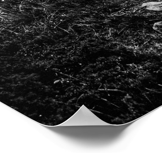 石道 ポスター (角)