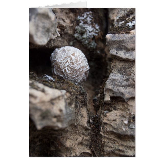 石|の砂漠バラ136 (正面)