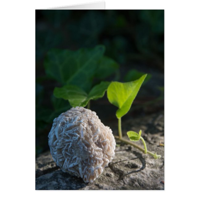 石|の砂漠バラ141 (正面)