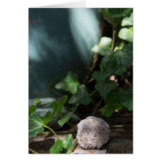 石|の砂漠バラ145