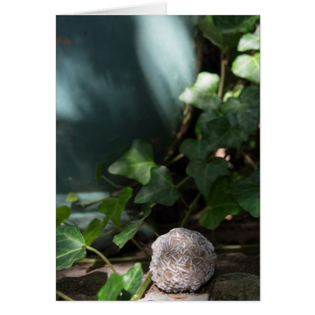 石|の砂漠バラ145 (正面)