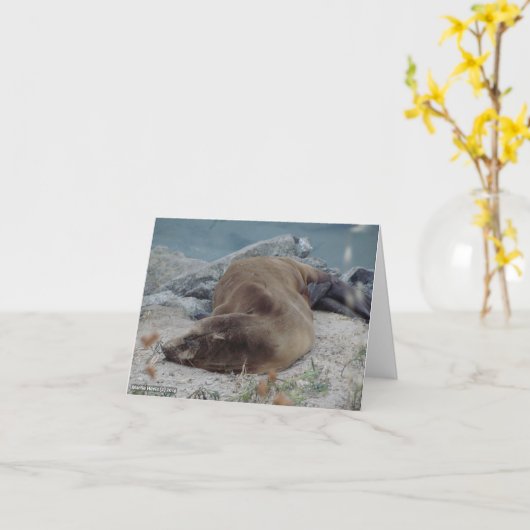 石(アシカ)で眠った カード (黄色い花)