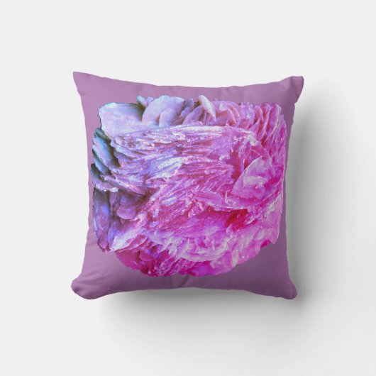 石 |新しいビュー | 2トーンレイヤー | クッション (正面)