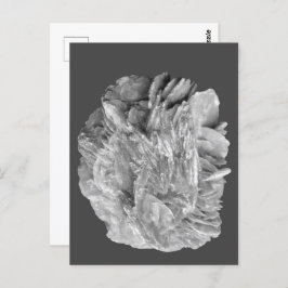 石 |新しいビュー | 2トーンレイヤー | ポストカード