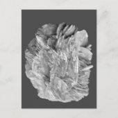 石 |新しいビュー | 2トーンレイヤー | ポストカード (正面)