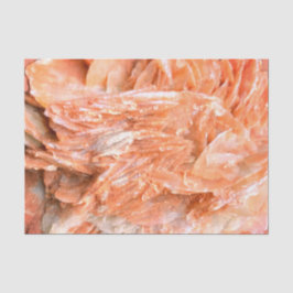 石 |新しいビュー | 2トーンレイヤー | 薄葉紙