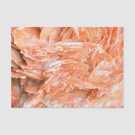 石 |新しいビュー | 2トーンレイヤー | 薄葉紙 (正面)