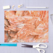 石 |新しいビュー | 2トーンレイヤー | 薄葉紙 (クラフト)