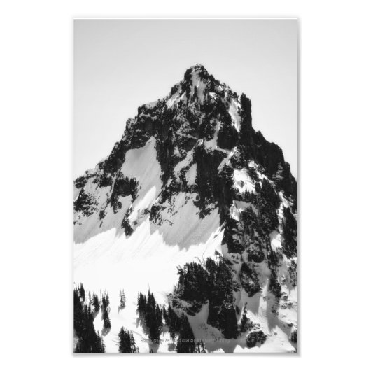 石、雪、木 フォトプリント            (正面)